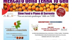 noccioliamo mdt  costiera sorrentina