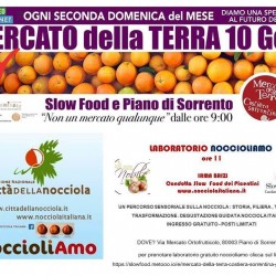 noccioliamo mdt  costiera sorrentina