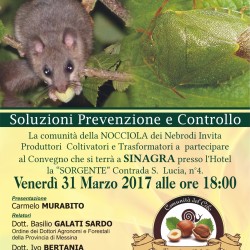 sicilia 31 marzo