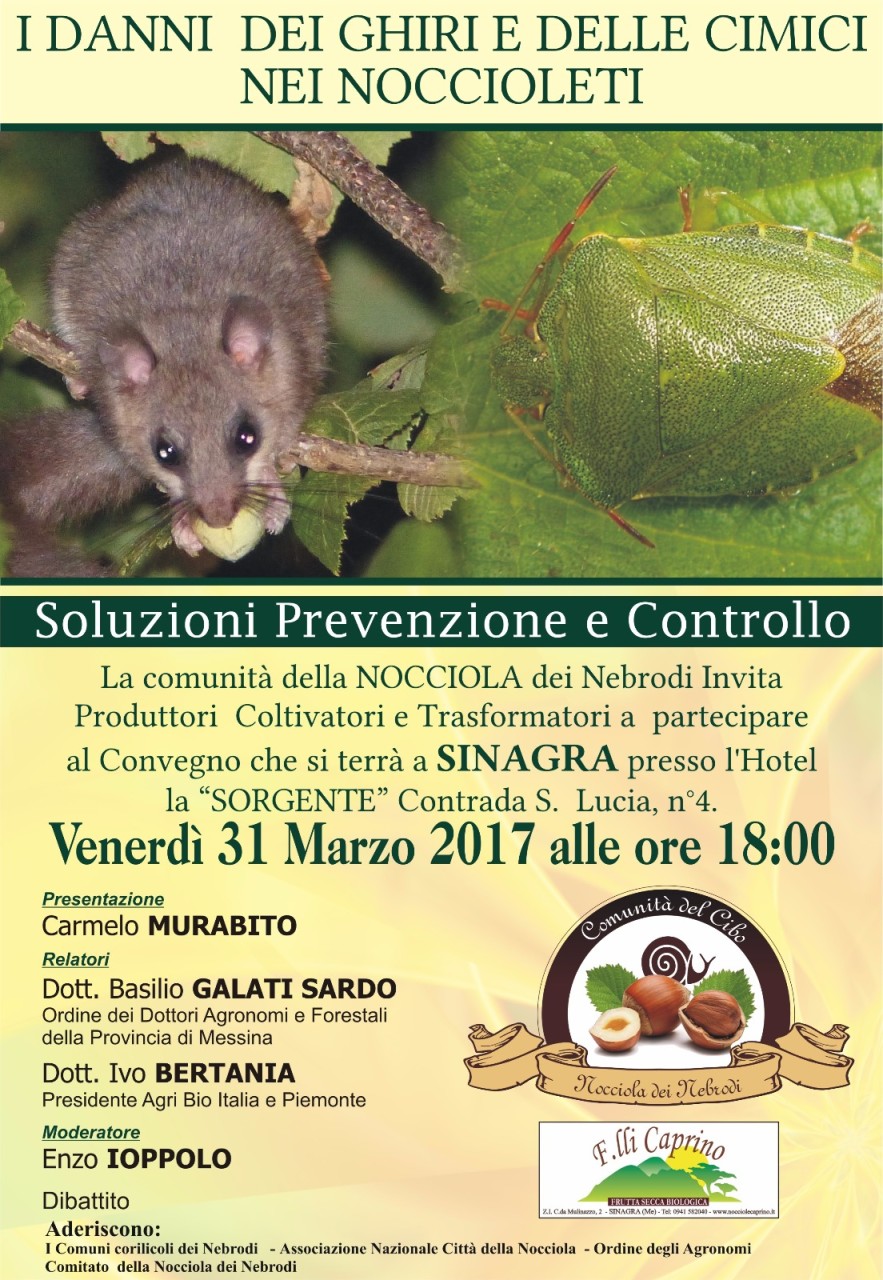 sicilia 31 marzo