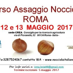 locandina cra roma maggio 2017