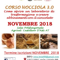 loca castellero NOVEMBRE 2018