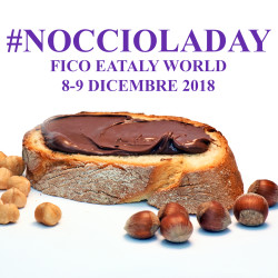 fico nocciola day