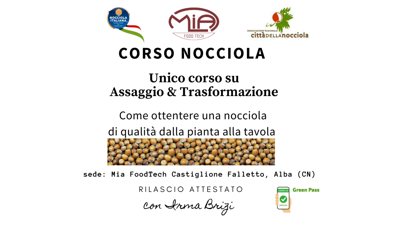 corso nocciola locandina