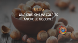 CRISI NOCCIOLE