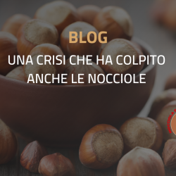 CRISI NOCCIOLE