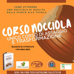 CORSO-NOCCIOLA-TRASFORMAZIONE-CORRETTO