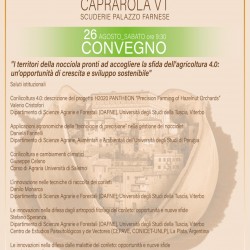 progranna convegno