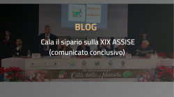 comunicato finale assise